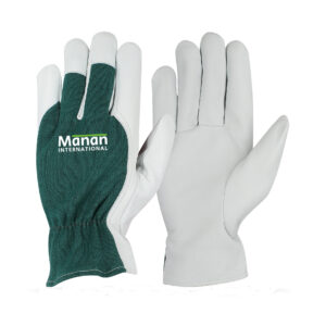 Assembly Gloves / Goatskin Leather Palm Interlock Cotton Back